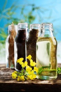 Canola pods, seed, meal and oil