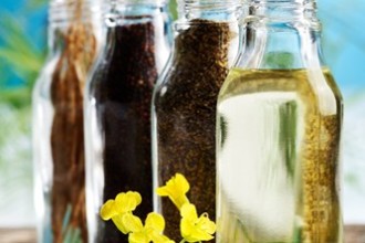 Canola pods, seed, meal and oil