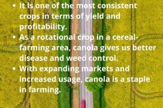 USCA Grow Canola campaign