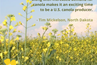 Grow Canola7-Tim Mickelson-ND