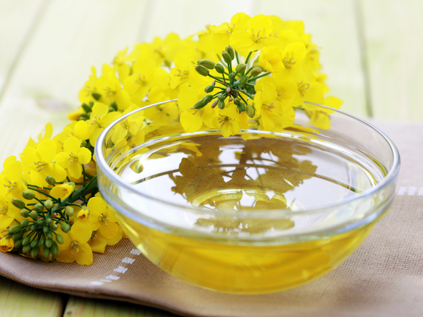 Canola oil and flowers